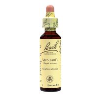 Bach mustard n°21 20ml