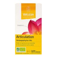 Articulation 60ml