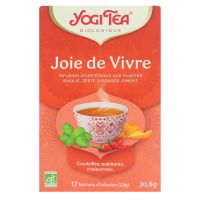 Joie de vivre infusion ayurvédique bio 17 sachets