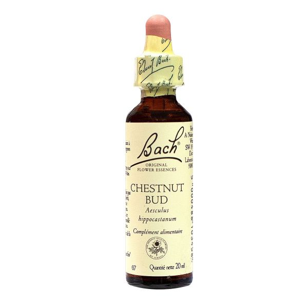 Bach chestnut bud n°07 20ml